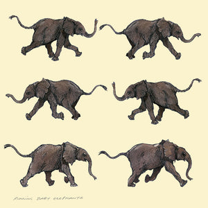 A001 Running Baby Elephants