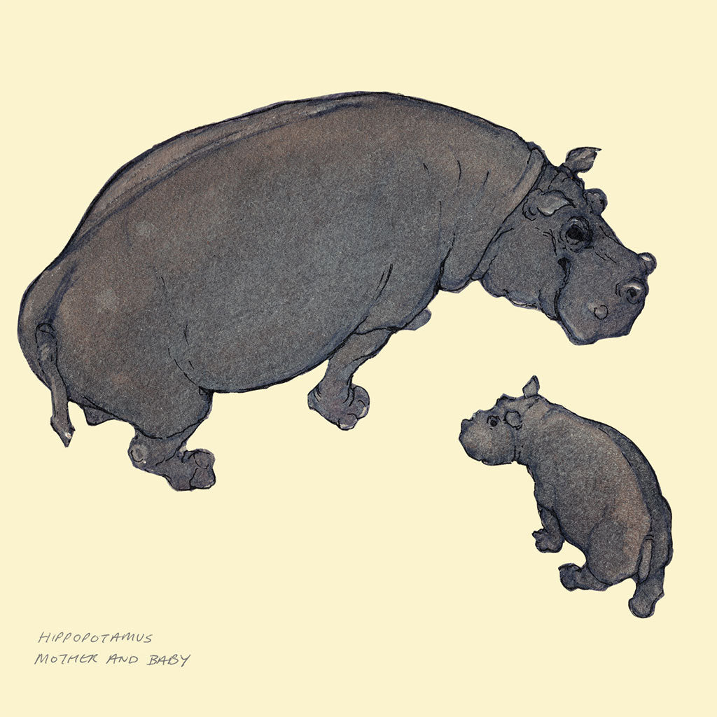 A003 Hippo Mother and Baby