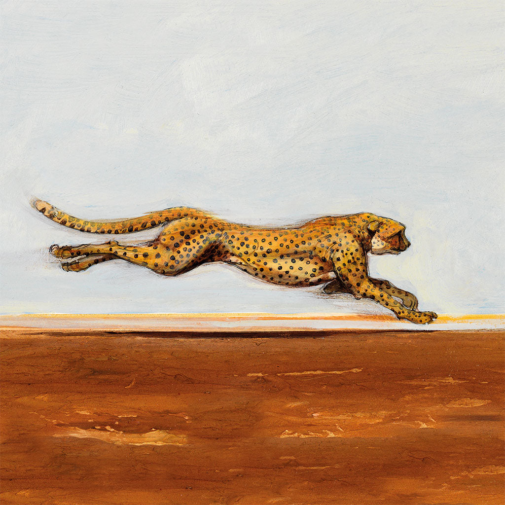 A006 Running Cheetah