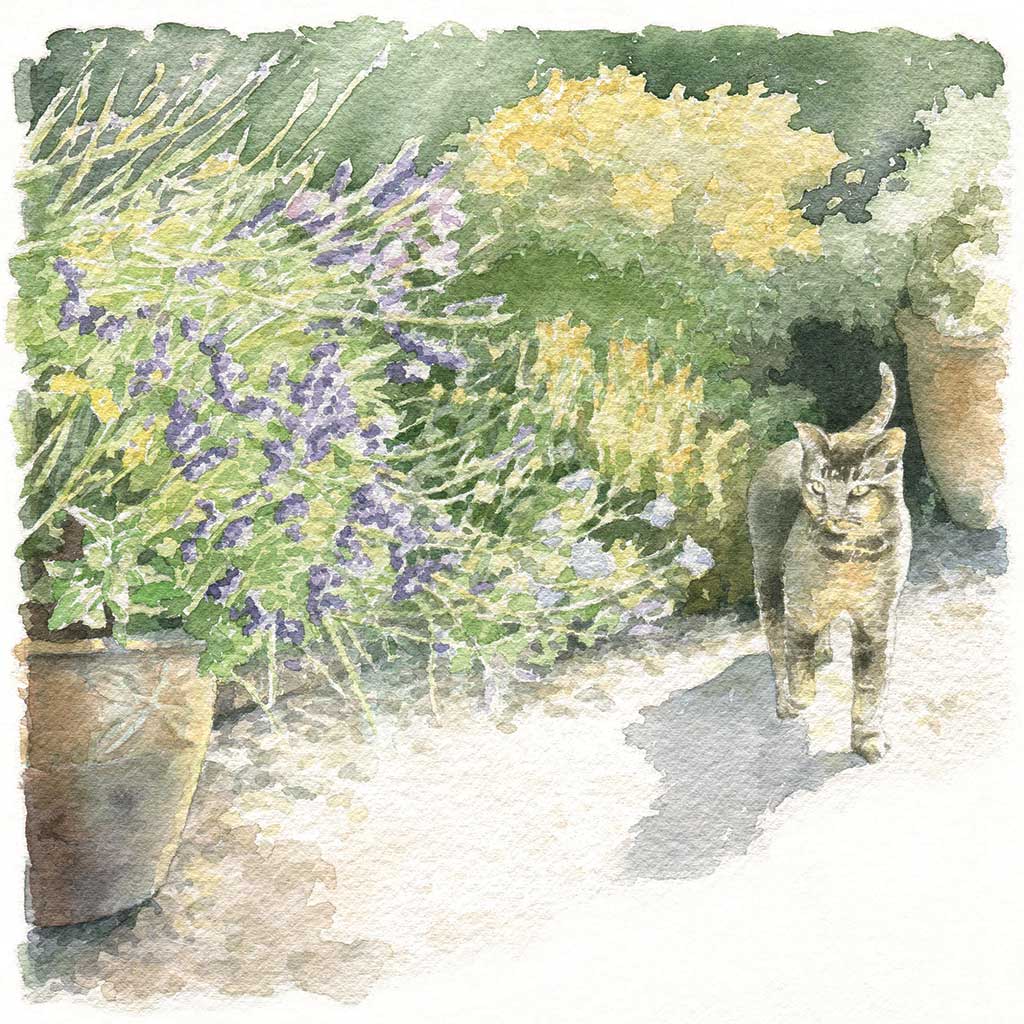 SB001 Cat in the Garden