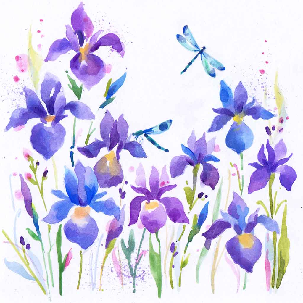 AR012 Iris