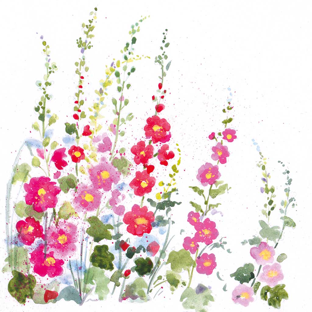 AR003 Hollyhocks